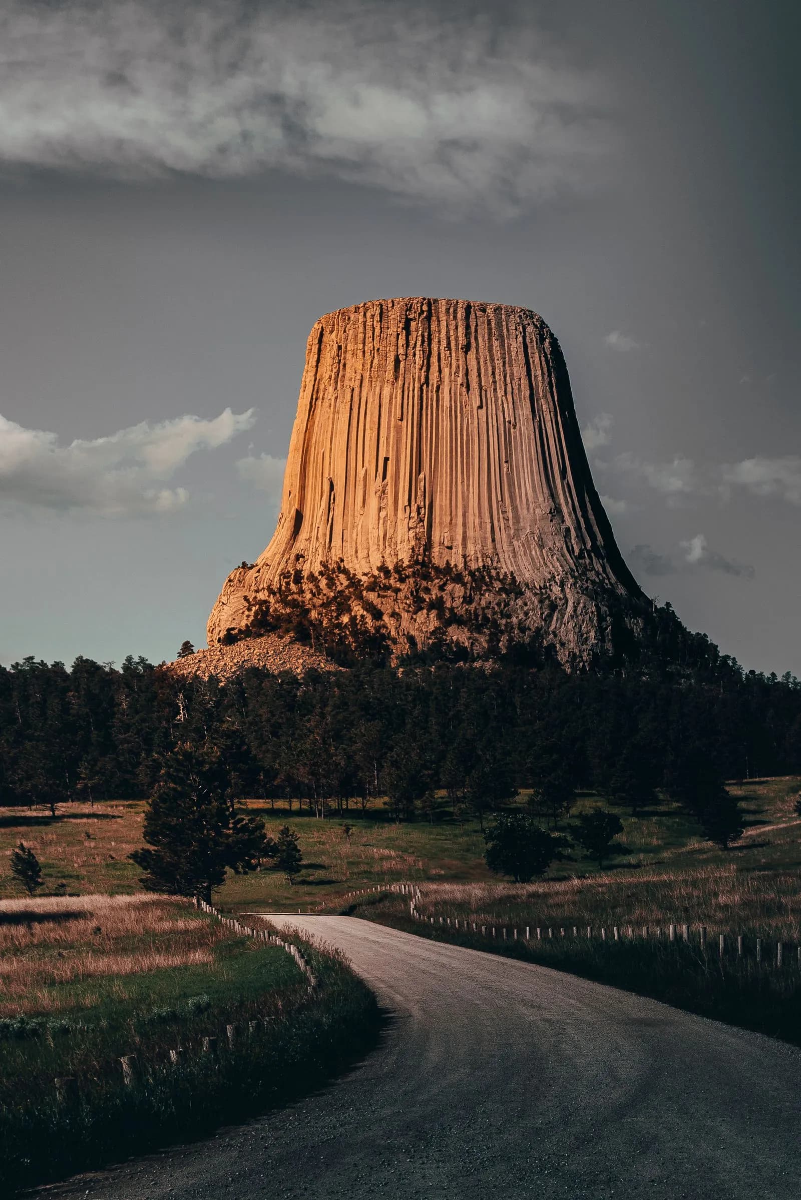 Paysage de Laponie finlandaise