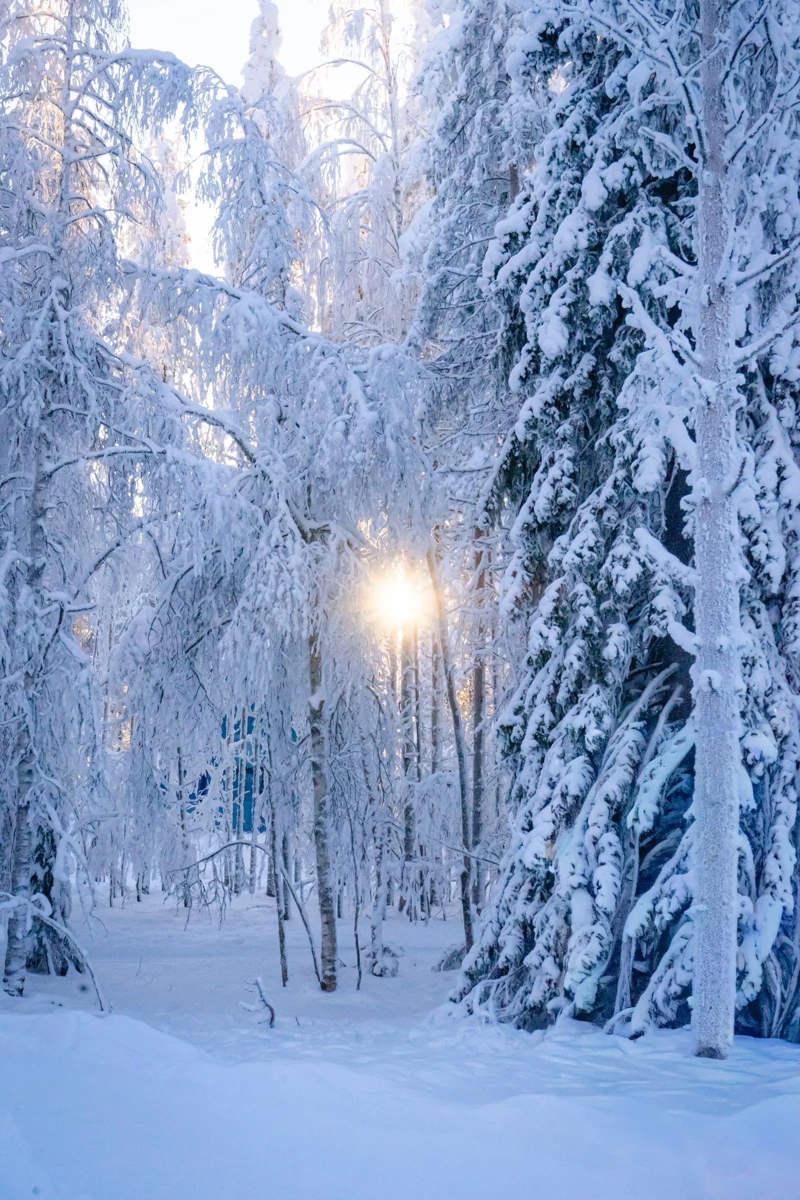 Paysage finlandais enneige, préparation expatriation