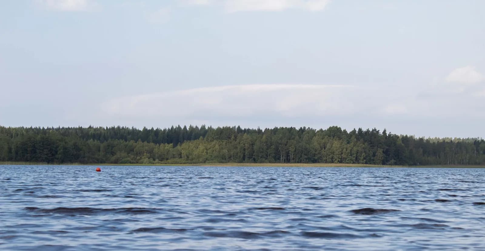 Lac finlandais bordé de forêt boréale, une bouée rouge à la surface