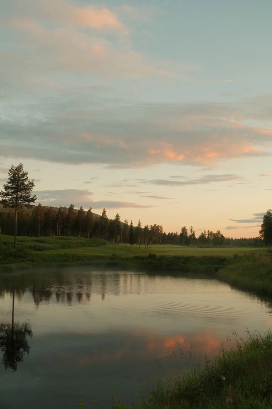 Ciel encore clair au-dessus d'un plan d'eau et d'une forêt de pins en Laponie finlandaise, en pleine nuit d'été